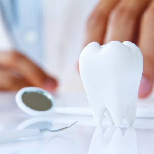 Fake tooth on a table next to dental instruments