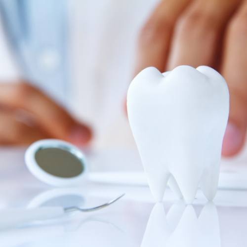 Fake tooth on a table next to dental instruments